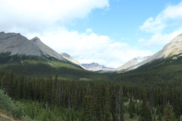 Fototapeta premium カナダのカナディアンロッキー、バンフ国立公園. ジャスパー国立公園