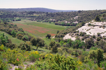 buoux, france
