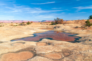 Pothole Point.Canyonlands National Park.Utah.USA