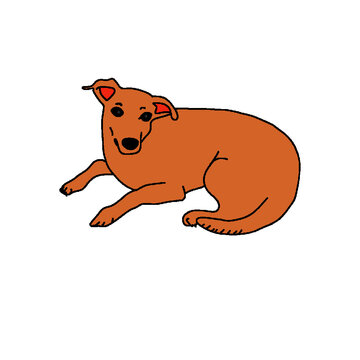 Cachorro amarelo caramelo
