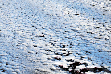 The frozen sea covered with snow.