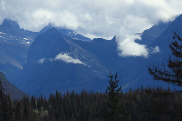 Obraz premium カナダのカナディアンロッキー、バンフ国立公園. ジャスパー国立公園