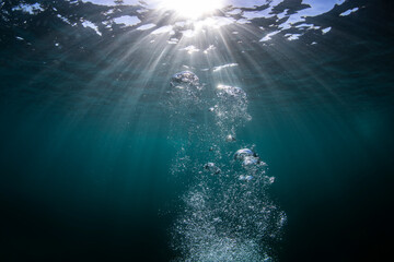 Bubbles underwater, Sydney Australia - Powered by Adobe