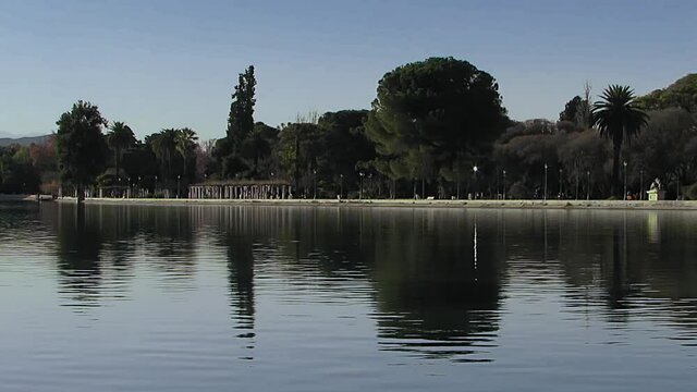 Trees and Palm trees reflected in a mirror of water at the park Parque General San Martin, in Mendoza, Argentina.
