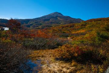 紅葉の鳥海山と湿原と池塘