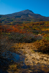 紅葉の鳥海山と湿原と池塘