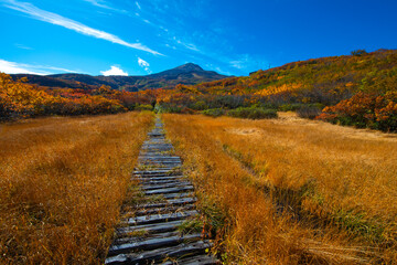 紅葉の鳥海山と湿原遊歩道