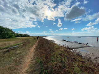 View of the broads National Park from the river bank in a cloudy day shoot taken against the sun with a dramatic sky and strong shadow.