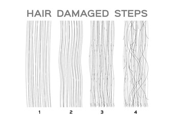 damaged hair steps vector