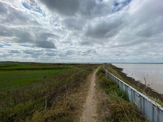 Fototapeta premium View of the broads National Park from the river bank in a cloudy day shoot taken against the sun with a dramatic sky and strong shadow.