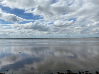 View of the broads National Park from the river bank in a cloudy day shoot taken against the sun with a dramatic sky and strong shadow.