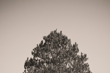 sunset in the mountains