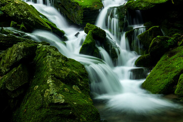 Mossy valley.Beautiful mountain stream with moss covered stone,