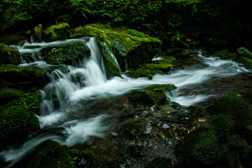Mossy valley.Beautiful mountain stream with moss covered stone,