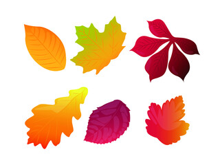 abstract autumn leaves set isolated on white background. simple cartoon vector illustration.