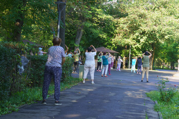 Seniors doing group sports in the park. Elderly gymnastics.