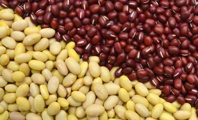 Yellow Beans and adzuki beans on background