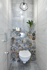 toilet