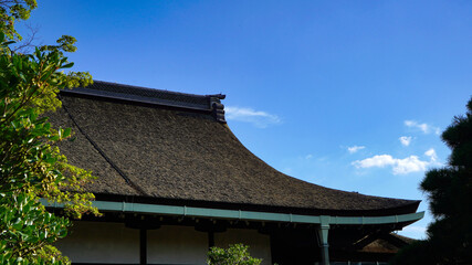 Fototapeta na wymiar 夏の京都御苑の空模様