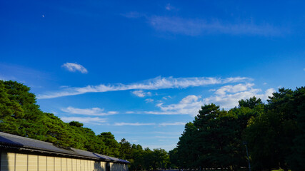 夏の京都御苑の空模様