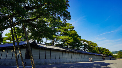 夏の京都御苑の空模様