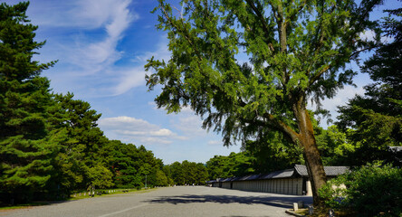 夏の京都御苑の空模様