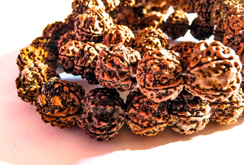 Rudraksha japa Mala or Prayer beads made from the seeds of the rudraksha tree on white background...