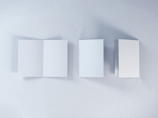 Realistic A4 Bifold Brochure Preview Scene Mockup