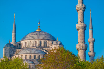 Fototapeta na wymiar The Sultanahmet Mosque (Blue Mosque) - Istanbul, Turkey