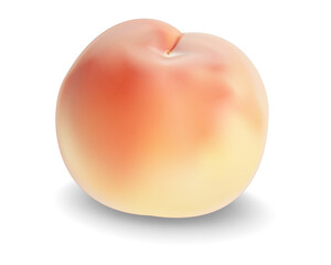 桃のイラスト/最高級品の桃/背景は透明