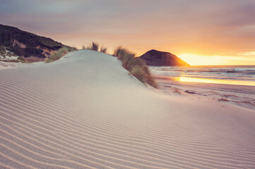 Dunes on ocean coast