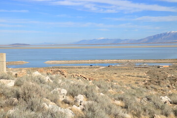 Observing the Great Salt Lake and the Wasatch Range beyond, Antelope Island, Utah