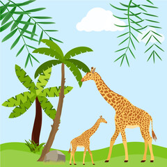 Giraffes on the background of a tropical forest, mother of a giraffe with a child. Vector illustration.
