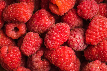 Freshly harvested raspberry. Selective focus. Shallow depth of field.