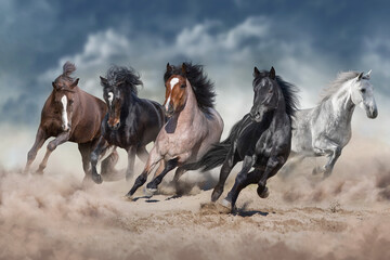 Horse herd  galloping on sandy dust against sky