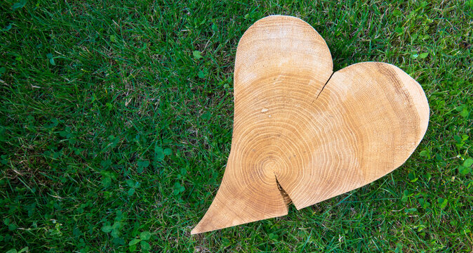 Romantic background, wooden heart against green grass, copy space