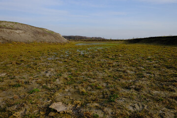 The exposed bottom of a dry pond. A shallow water body.