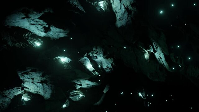 Waitomo Glowworm Caves, Waikato, in pristine secret cave in New Zealand.