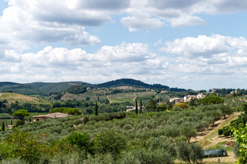 Fototapeta na wymiar Panoramic view of the splendid and luxuriant countryside of Siena. Tuscany, Italy