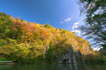 Fototapeta na wymiar 猊鼻渓川下りから見た紅葉の絶壁