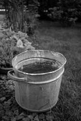 Fototapeta premium Metal bucket filled with water and dirt on the bottom of it in a park AM