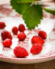 forest strawberries on a porcelan plate