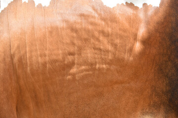 cow skin texture background, cow leather with fur background