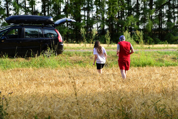 people walk across the field with spikelets to the car