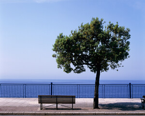 Naklejka na ściany i meble lonely bench on the sea with tree, bench on the sea with tree