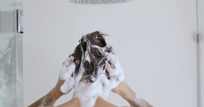 Back rear close up view young naked european man cleaning sculp with bubble shampoo. Bare man washing head with anti dandruff treatment, enjoying morning daily showering body care hygienic routine.