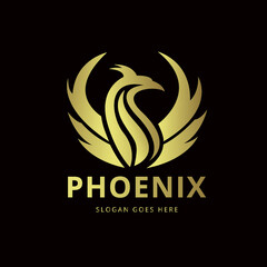 Obraz premium Phoenix 