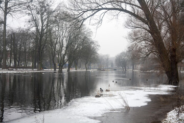 rzeka Obra na wysokości Międzyrzecza w zimowej szacie