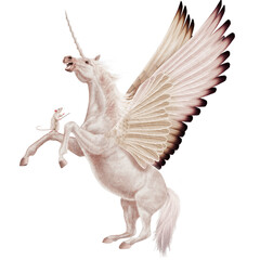 illustration, licorne, cheval, blanc, volant, ailes, souris, rat, sauvage, ailes, dessin animé, nature, art, vol, fantaisie, conception, silhouette