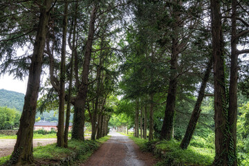 Ullimsanbangro road